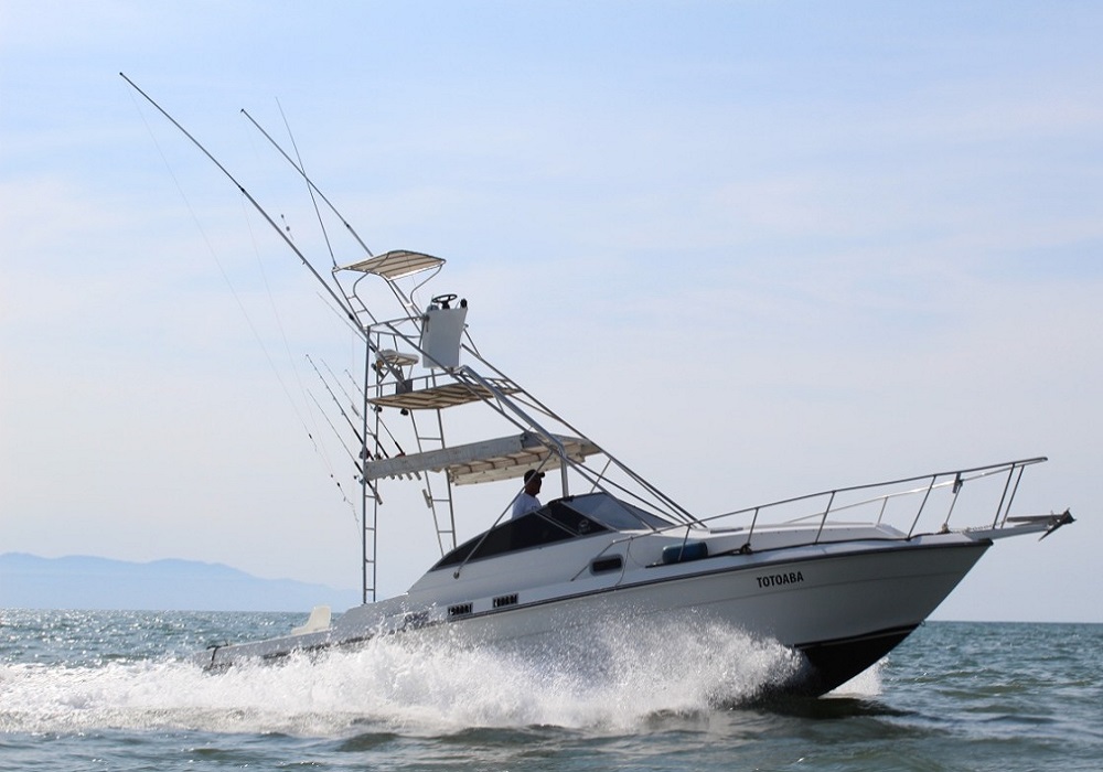 Boat Sea Ray 34