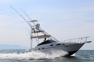 SeaRayTotoaba.